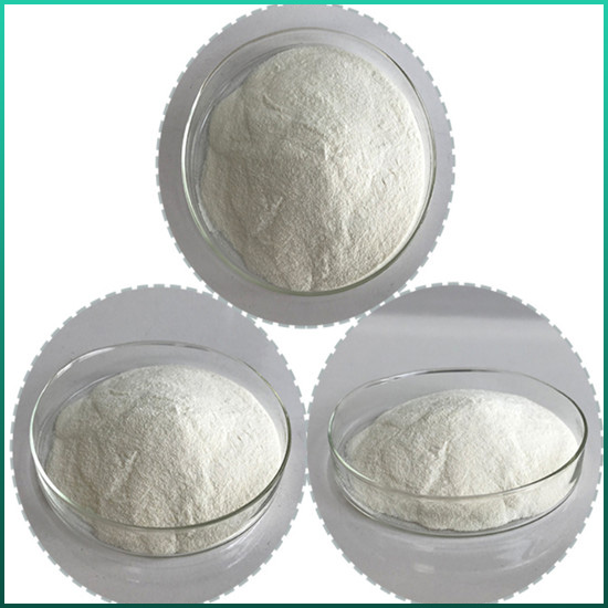 Î²-Galactosidase